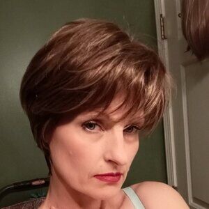 Short Synthetic full wig heavily highlighted